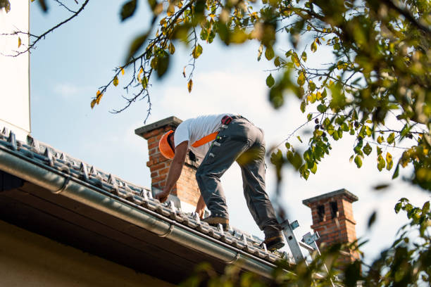 Best Best Roofing Contractors  in Holmen, WI