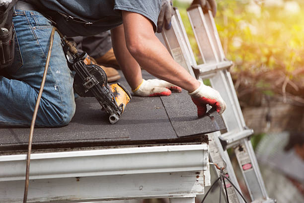 Best Gutter Installation and Roofing  in Holmen, WI