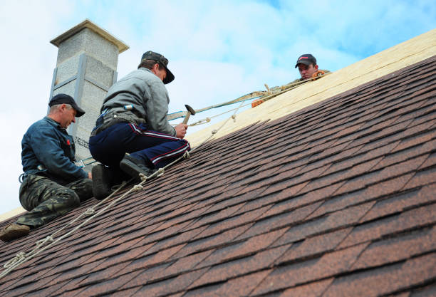Best New Roof Installation  in Holmen, WI